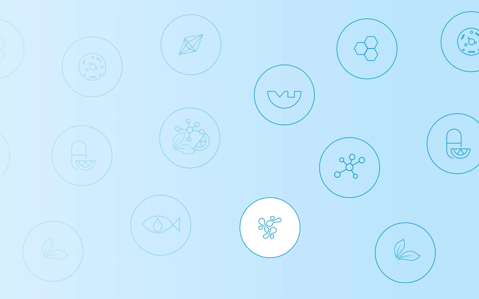 Mlečnokislinske bakterije